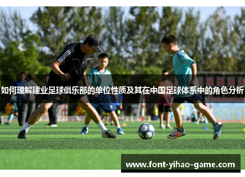 如何理解建业足球俱乐部的单位性质及其在中国足球体系中的角色分析